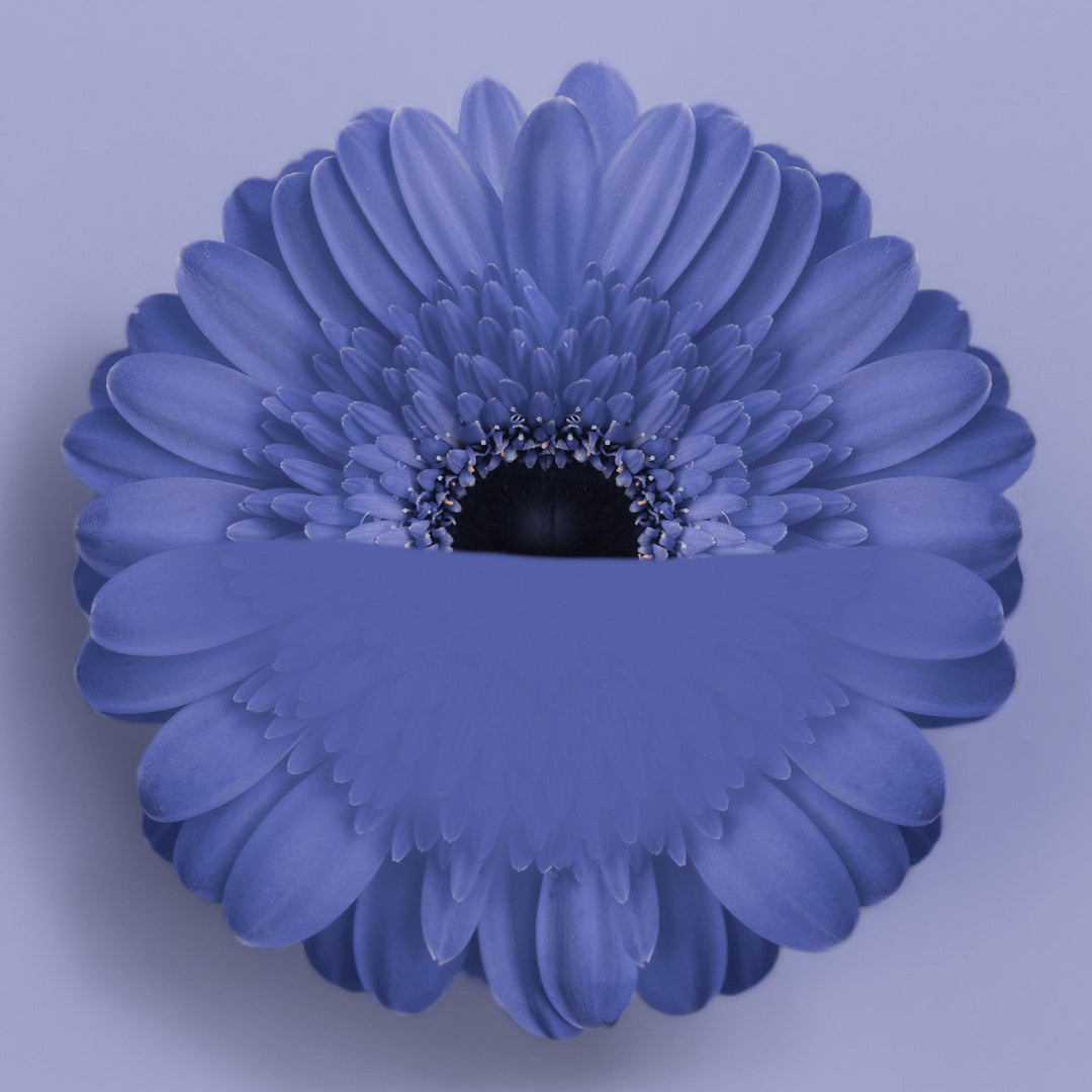 Calm Blues