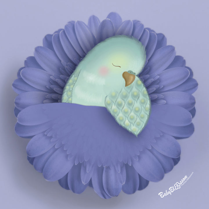Budgie Dreams