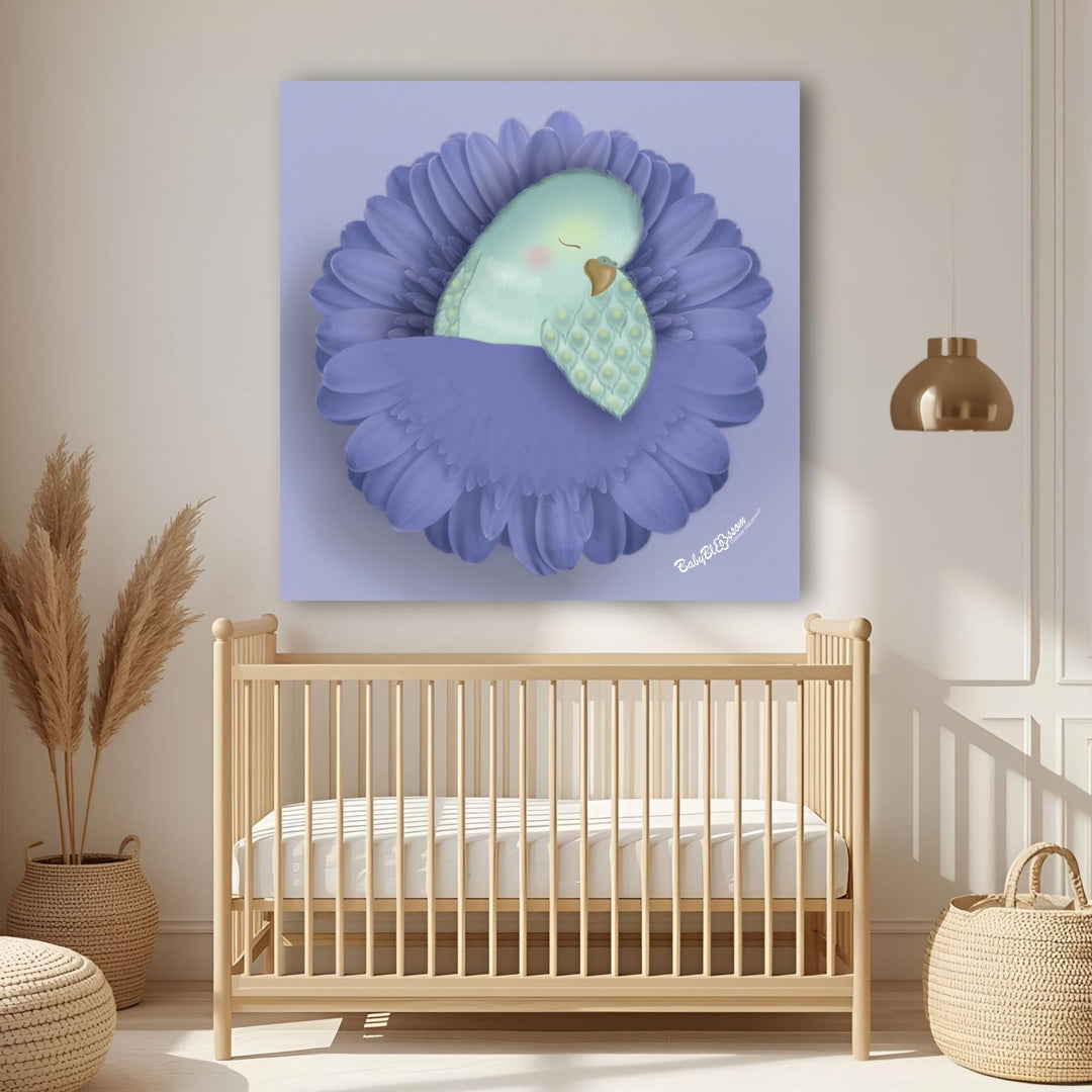 Budgie Dreams
