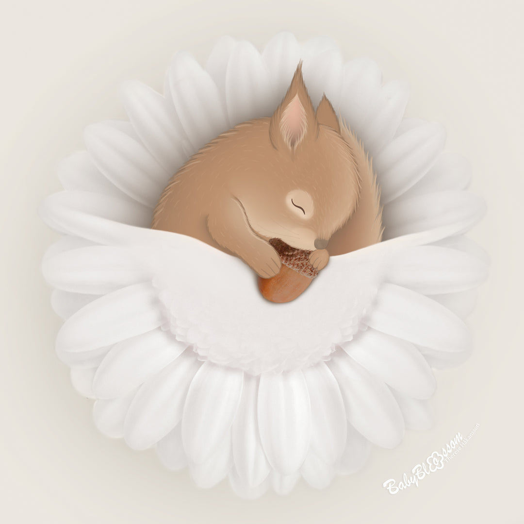 Little sleeping squirrel with a tiny acorn, nestled among the soft petals of a white flower, botanical wall art by BabyBlossom.