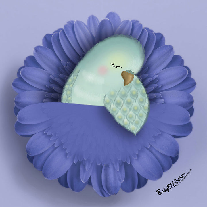 Budgie Dreams