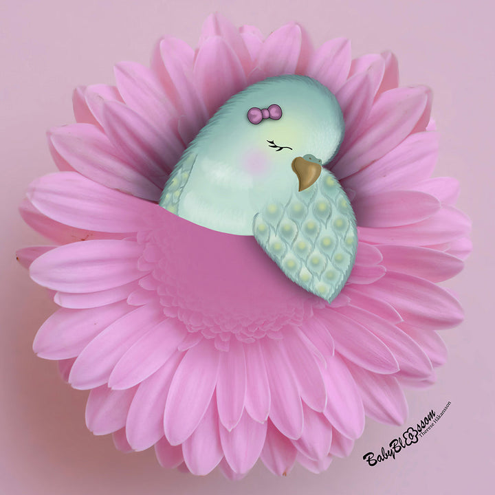 Budgie Dreams