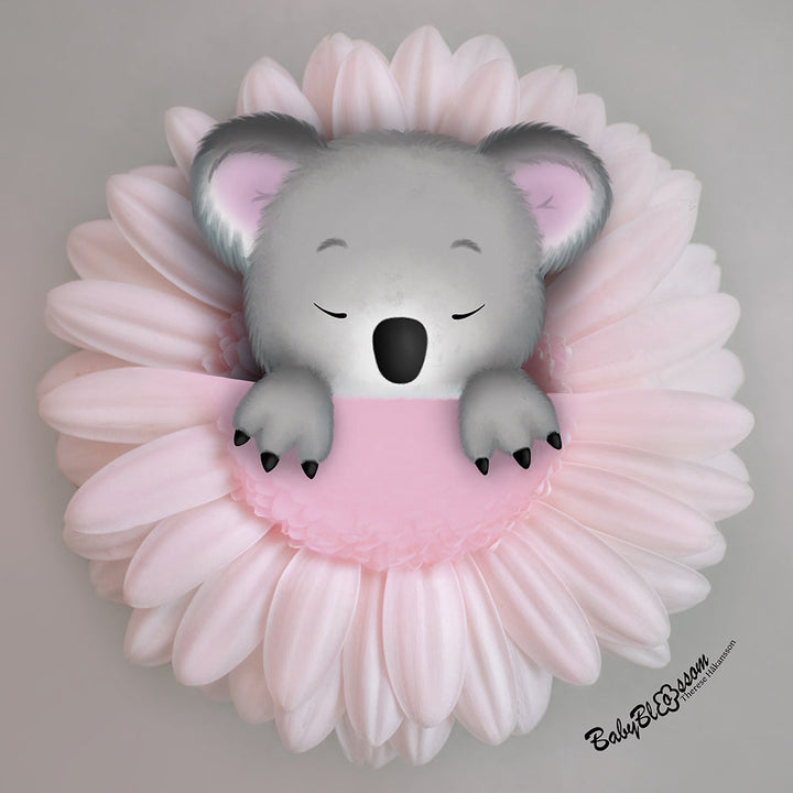 Koala Cozyness
