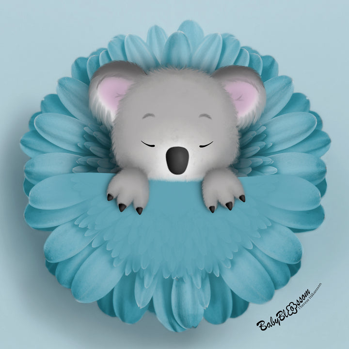 Koala Cozyness