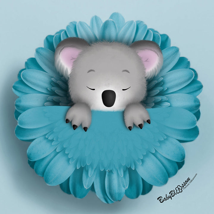 Koala Cozyness