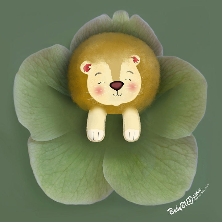 Medow Lion