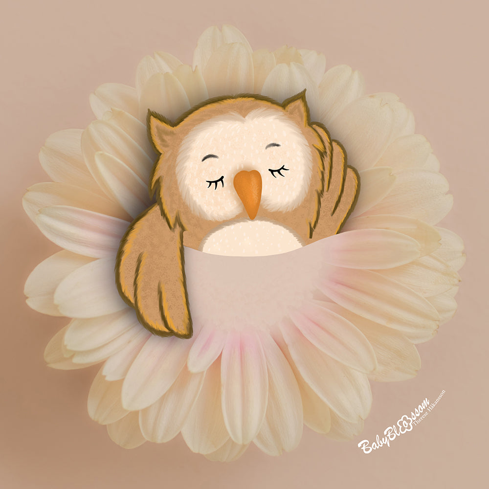 Sunshine Owl