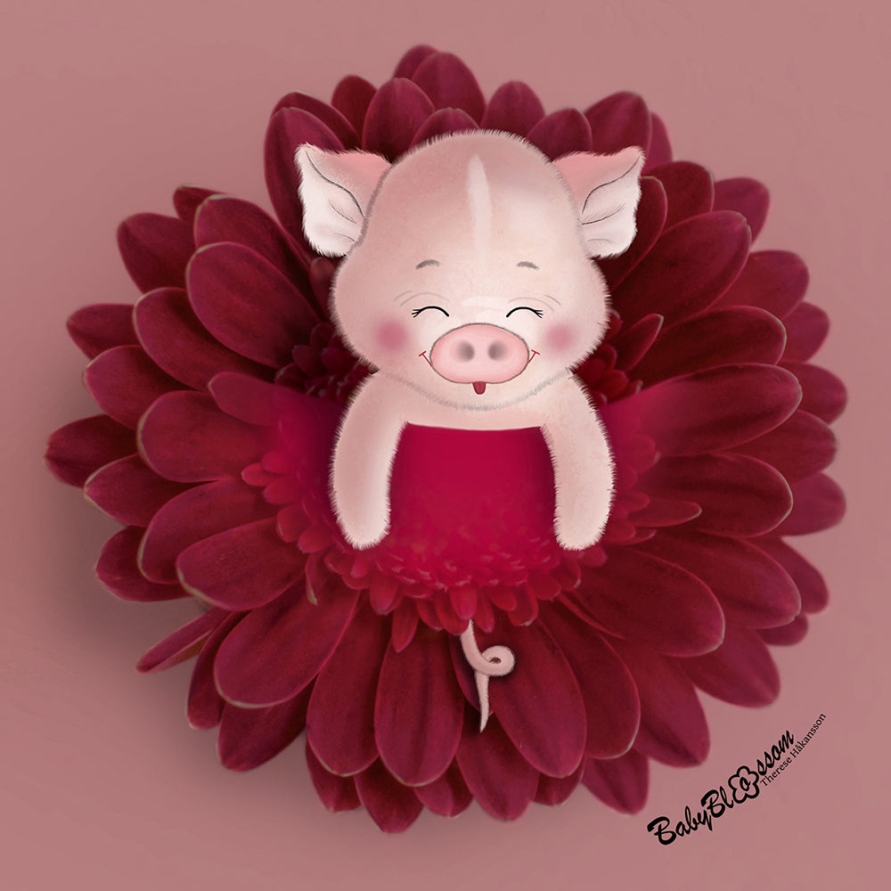 Piggy Wishes