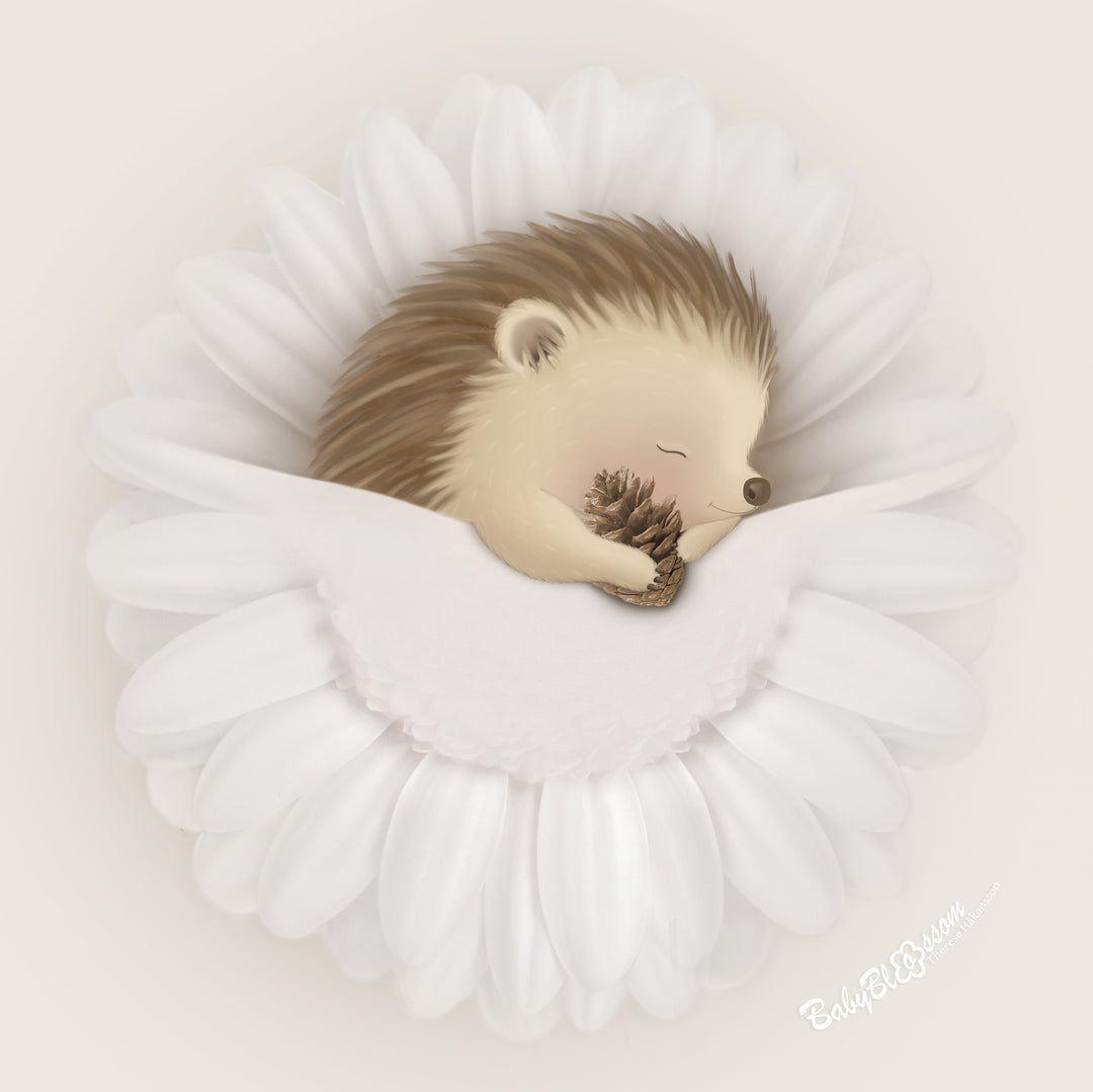 Sweet sleeping hedgehog gently holding a pinecone in its paws, woodland animal wall art by BabyBlossom.