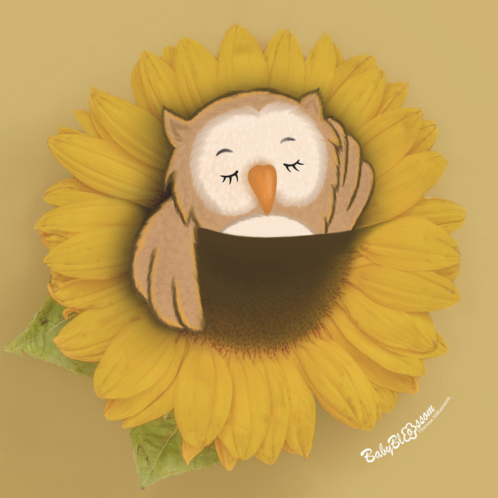 Sunshine Owl